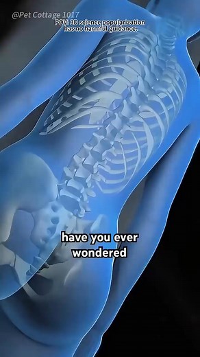 61K views · 567 reactions | How Spinal Injection Is Given_ (3D Animation勞勞 #health#facts#dailyclips | Sideyou | Facebook