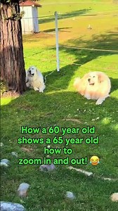 iPhone lessons with Gen X for a baby boomer! #placercountyrealtor #videoexpert #auburnca