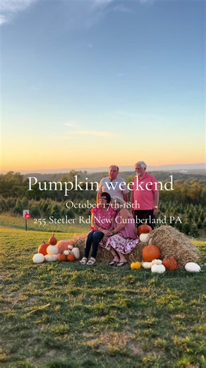 If you didn’t already know, our 2nd annual pumpkin weekend is THIS SATURDAY AND SUNDAY! 🎃🍂 Enjoy a fall filled weekend of pumpkins for sale, pumpkin decor and photo ops, shopping from 30  local vendors and small business, food trucks, wine tastings, our speciality pumpkin sangria and more! We can’t wait to see you out for this gourd-eous weekend!🎃🎃