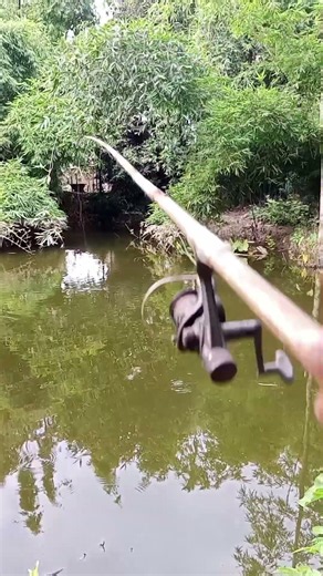 Catching Tiny Puti Fish with a Hook | Simple Fishing, Big Fun! 🎣