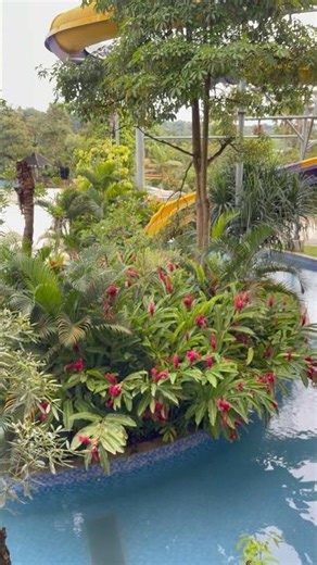 swimming🤿#vacation #family #familyvlog #swimming #swimming #pool