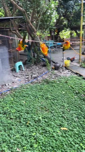 Explore DENR CWR's Daily Operations