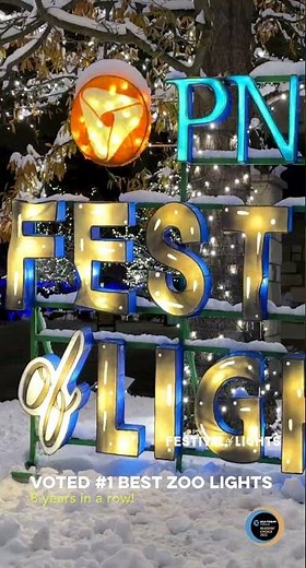 PNC Festival of Lights Voted Best Zoo Lights - Cincinnati Zoo #shorts
