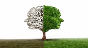 Borderline Personality Disorder Training | CTRI