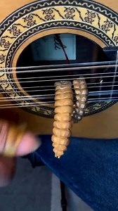 O AUTÊNTICO SOM BRASIl | Jornal Expresso