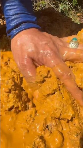 TANAH MENGANDUNG EMAS #shorts