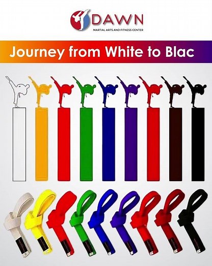 Ultimate Guide to Martial Arts Belt Ranks Explained! 🥋 | Dawn Martial Arts"