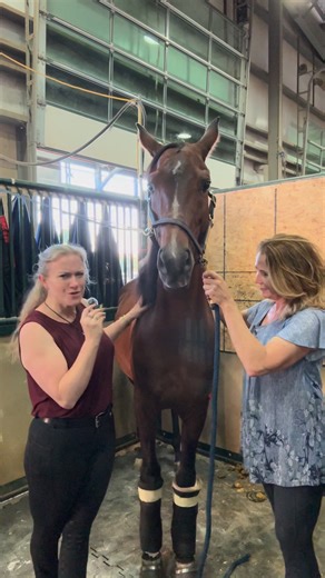 Who will win the Performance Trainer Married Game?! Place your bets (or bids) online to support your winning couple! Join us in the Hoot N’ Hollar Lounge at 1pm Thursday 10/16! | Arabian Horse Times