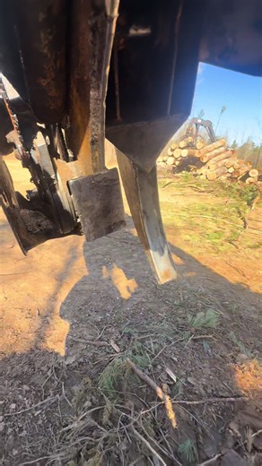 The Journey of a Logger: Hard Work and Dedication