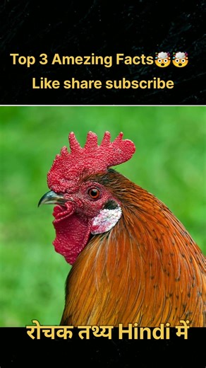 These Facts Sound Fake… But They’re 100% True||#facts #nature #amazingfacts #Gyanovex#interestingfac