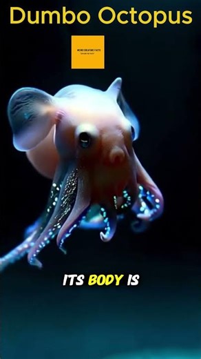 Deep Sea Creatures You Were Never Supposed to See