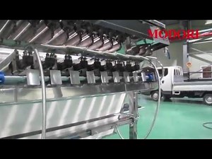 Fish Grading Machine (www.modoricorp.com)