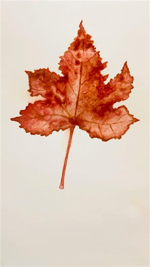 How to paint autumn leaves🍁 | watercolor autumn leaves #painting #watercolor #drawing #art .