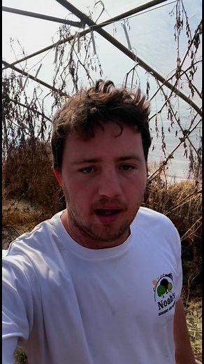 1.9K views · 67 reactions | Just a quick update on the high tunnel....