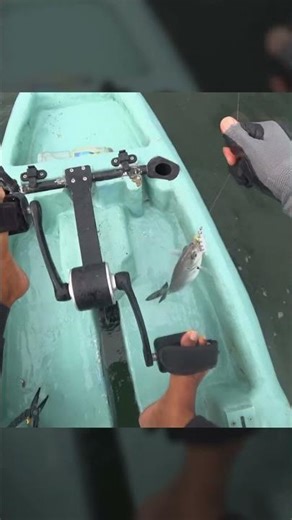 Bigeye Trevally on My DIY Kayak 3rd fish of the day!