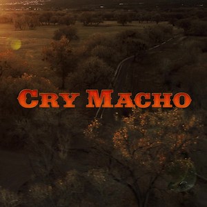 357 reactions · 49 shares | The iconic Clint Eastwood returns to the screen with #CryMacho. In Cinemas November 12. | Warner Bros. Pictures | Facebook