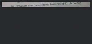 [Solved] What are the characteristic features of Euglenoids? - ... | Filo