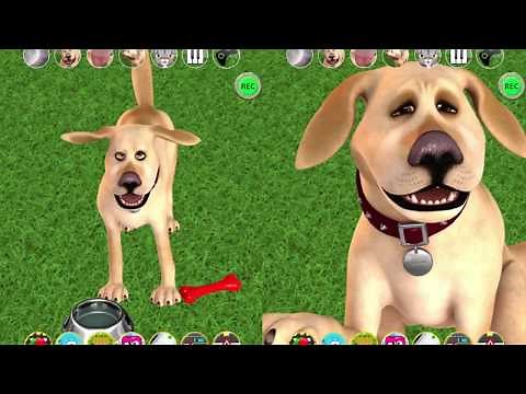 Talking John Dog: Funny Dog