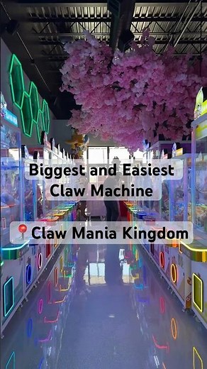Biggest and Easiest Claw Machine experience !!