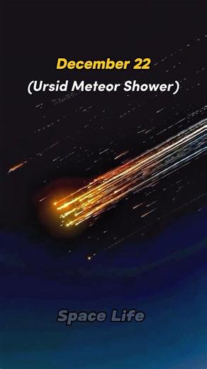 Last Meteor Shower is December 2025 💀 #space #shorts #sun