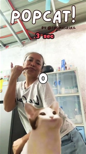 Popcat #dance #dancer #dancechallenge #music #trending