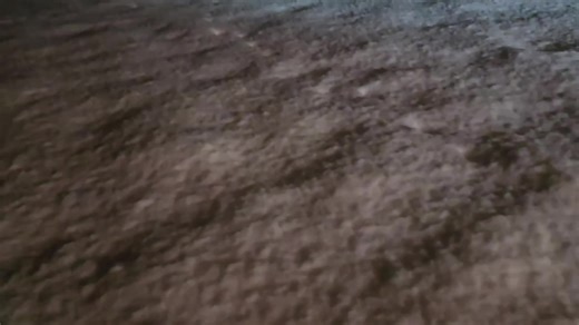 Efficient Snow Clearing with Wheel Loader