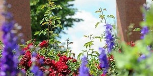 Lantern ceremony to honor Panhandle WWII veterans Thursday