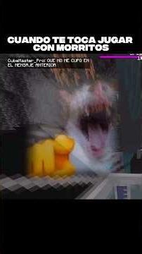 Jugando con seguidores #minecraft #minecraftmemes #gaming