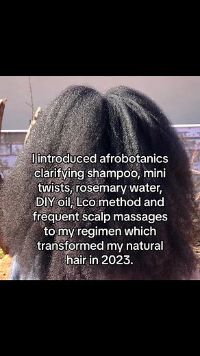 Transform Your Natural Hair in 2023: Tips & Products