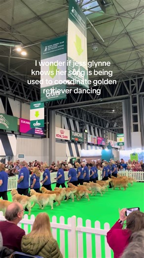 Golden Retrievers Steal the Show at Crufts 2023
