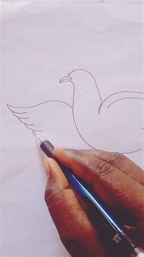 Flying pigeon sketch#begginers