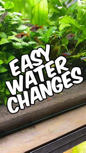 Easy Aquarium Water Changes In Medium To Large Sized Aquariums! Here’s how I quickly and easily perform water changes on my medium to large aquariums without carrying a single bucket of water. In this video, I’m maintaining my 160-litre (40-gallon) planted community tank using a Python-style water change system. These systems connect directly to your tap and use water pressure to create a vacuum, allowing you to drain and refill your aquarium safely and efficiently. The one I use is branded Enom