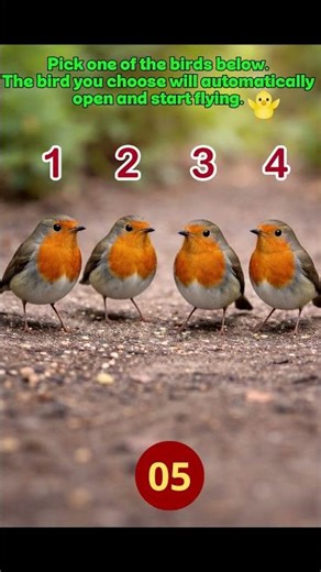 Choose a bird… I'll guess which one you chose!