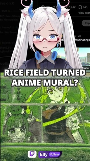 They Turned A Rice Field Into An ANIME MURAL!?