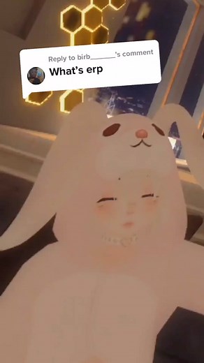 Exploring ERP in Virtual Reality - VRChat Fun