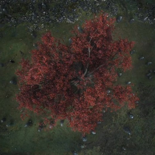 G O T (BEST SCENE 👑🍷) . . . . . . . . #viralreelsfacebook #entertainmentreels #webseriesvideon #clipsviral #views1m #gameofthronesedit #5minutecrafts #watchhours #tvshowclips #bestfighter #EnglishMovie #webseries #tvseries #tvshowclips #tvshow #BestScenes #bestclip #HBO #HBOMax #movieclips ... | Cinematic Envy