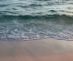 Don't forget to take advantage of our Black Friday sale today!  Save and Book Now: https://www.compassresorts.com/specials #todoindestin #floridabeaches #destinvacation #beachvacation #blackfriday | Compass Resorts | Facebook