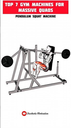 Top 7 Gym Machines for Massive Quads | Leg Workout