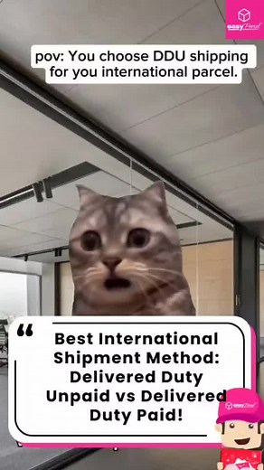 DDU vs DDP: Which International Shipping Method is Best for Your Business? 🌍 Thinking about shipping internationally with EasyParcel? Understanding the difference between Delivered Duty Unpaid (DDU) and Delivered Duty Paid (DDP) can make a big difference in creating a smooth experience for your customers. 📦✨ Head to our Help Center to get the full breakdown! Here’s what you’ll learn in the article: 🔍 Key differences between DDU and DDP ✅ Benefits of using DDP for a smoother delivery experienc