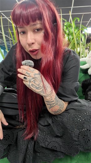 Tattoo Flash Ideas for 2026