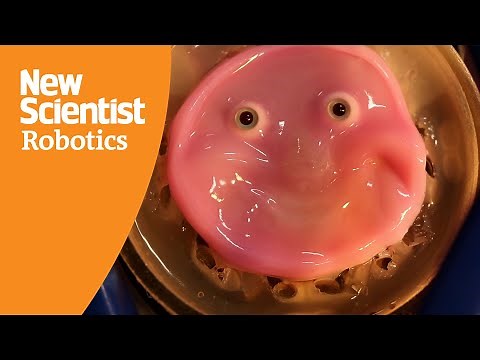 Smiling robot face is made from living human skin cells