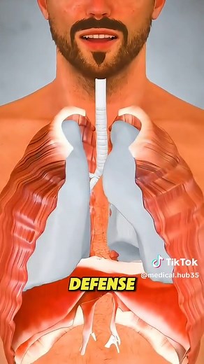 What Happens When You Sneeze (3D Animation) #sneeze #sneezeface #sneezeattack #happen #nose #lungs #cough #coughing #medical3danimation #3dmedicalanimation