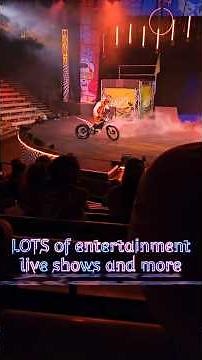 Why Busch Gardens Tampa Is Totally Worth Visiting.