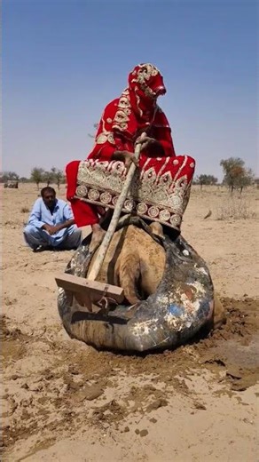 🤯 معجزة الأنابيب والأجهزة المحلية، حصل الجمل على تبريد فوري