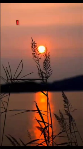 Videos de Alessandro Del Piero_🇮🇹💯 (@alessandro_del_piero10.1) con “sonido original - Alessandro Del Piero_🇮🇹💯”