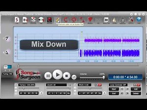 Using Multi track songs in Song Surgeon