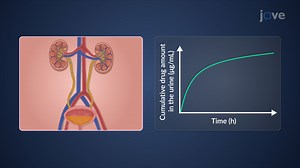 Video: Measurement of Bioavailability: Pharmacokinetic Methods