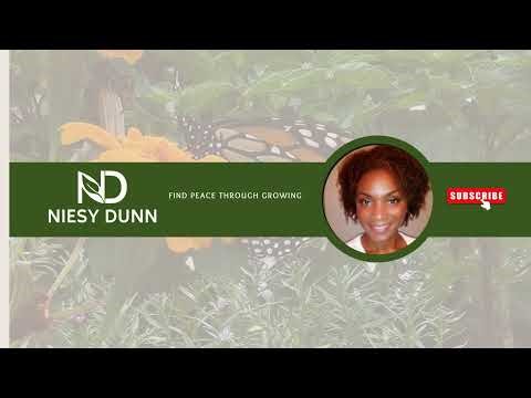 Updating camera settings