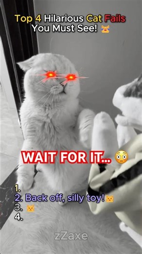 Cats Gone Wild: Hilarious Fails & Attacks! 😹