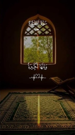الشيخ ماهر المعيقلي - من اجمل الاصوات #مكة #المسجد_الحرام #اكسبلور #الحرم_المكي